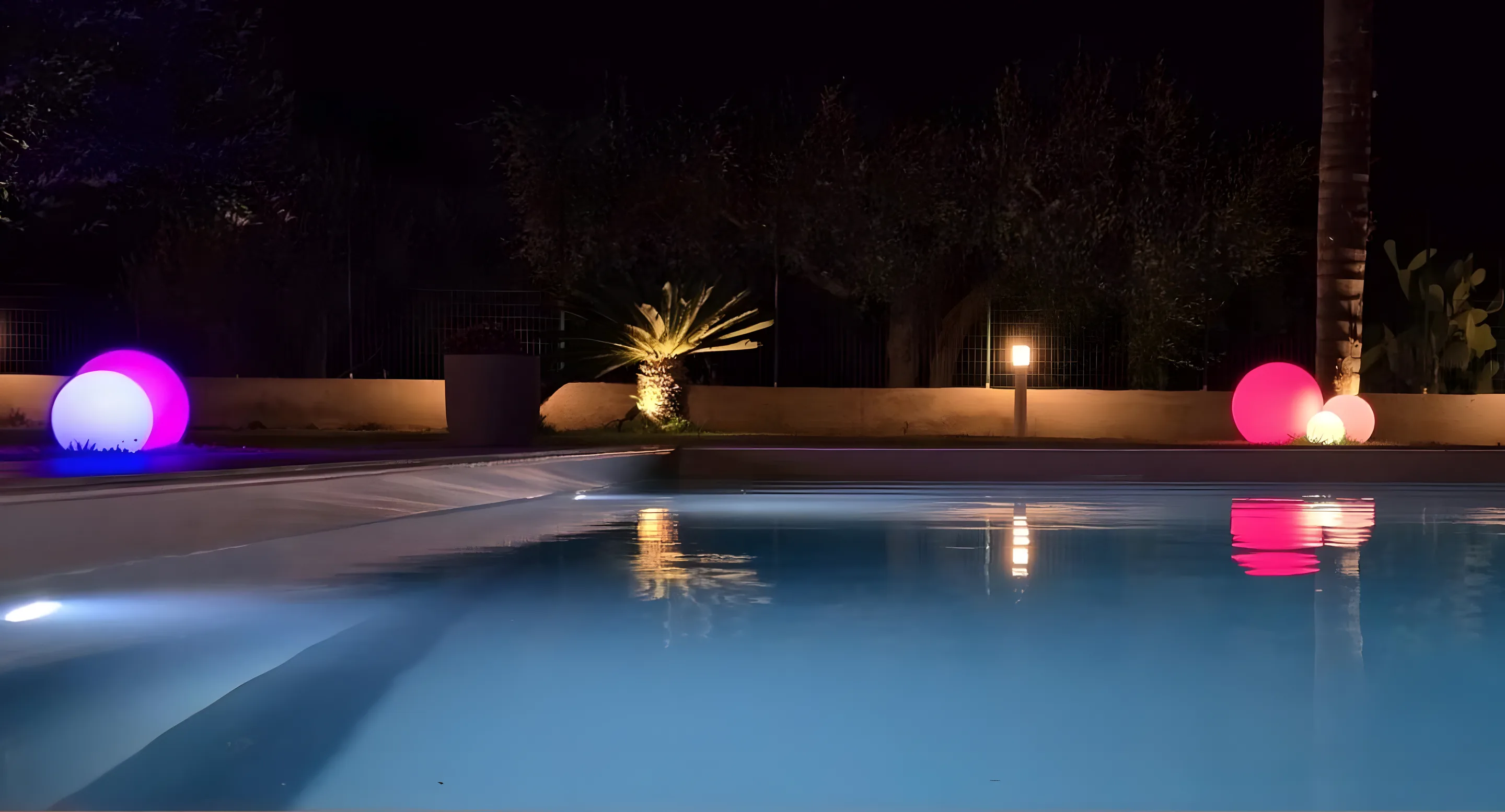 Giardino con palme e piscina nella luce del giorno